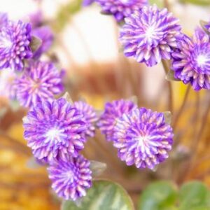 今日のかめら(*^^*)