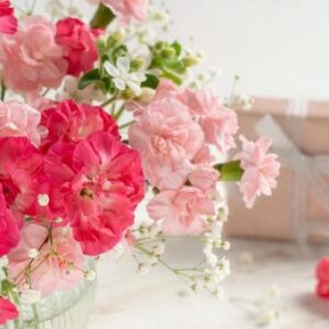 今日のかめら(*^^*)