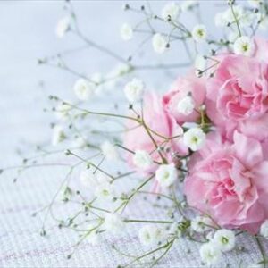 令和7年度入園式( *´艸｀)