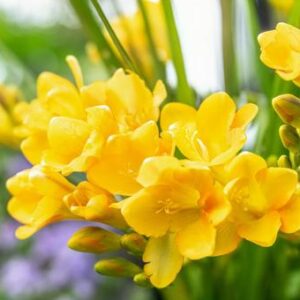 今日のかめら(*^^*)