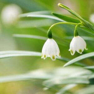 今日のかめら(*^^*)