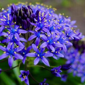 今日のかめら(*^^*)