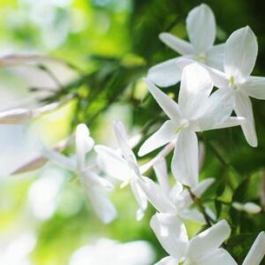 今日のかめら(*^^*)