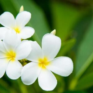 今日のかめら(^^♪