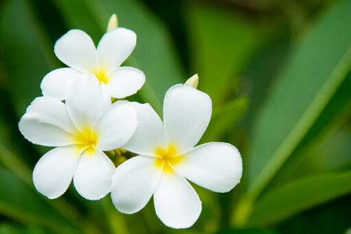 今日のかめら(^^♪