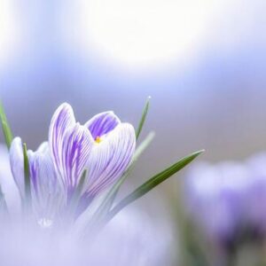 今日のかめら(^^♪