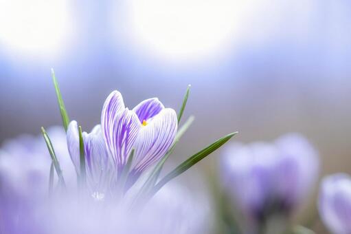 今日のかめら(^^♪