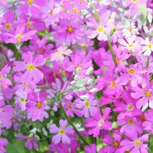 今日のかめら(*^^*)