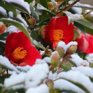 今日のかめら(*^^*)