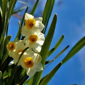 今日のかめら(*^^*)