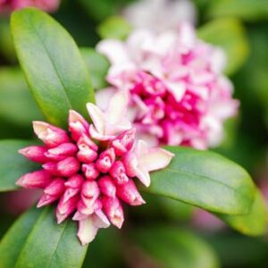 今日のかめら(^^♪