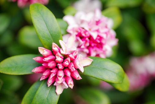 今日のかめら(^^♪