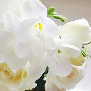 今日のかめら(*^^*)