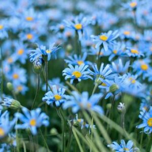 2月生まれの誕生会　＼(^o^)／