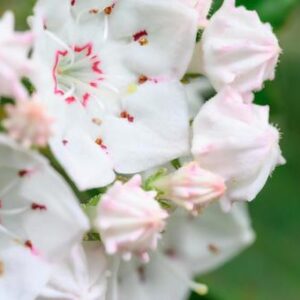 12月の動画( *´艸｀)