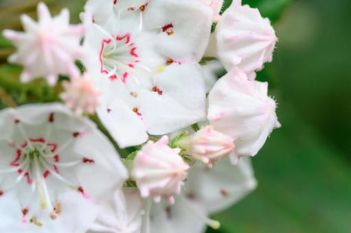 12月の動画( *´艸｀)