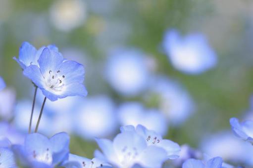 今日のかめら(^^♪