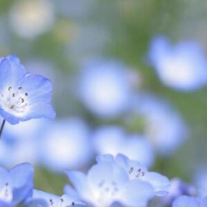 今日のかめら(^^♪