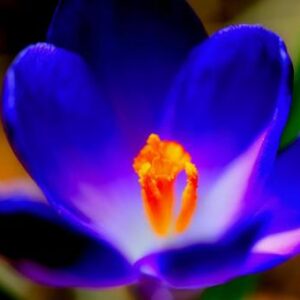 今日のかめら(^^♪