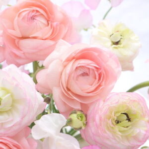 今日のかめら(*^^*)