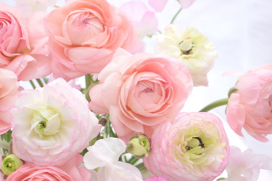 今日のかめら(*^^*)