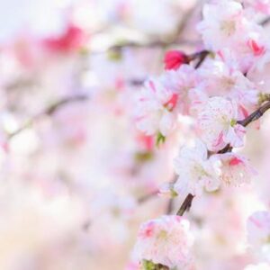 今日のかめら(^^♪