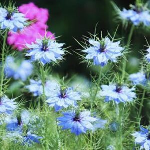 お別れ会＼(^o^)／