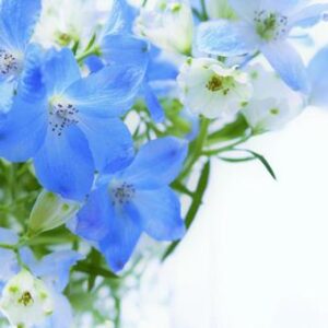 今日のかめら(*^^*)