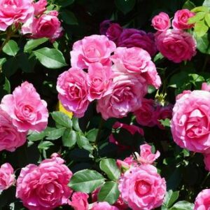 令和5年度修了式＼(^o^)／