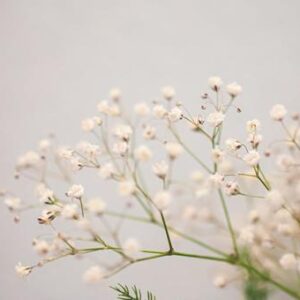 今日のかめら(*^^*)