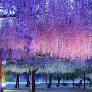 今日のかめら(*^^*)