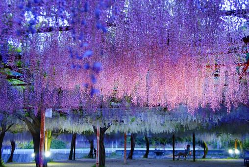 今日のかめら(*^^*)