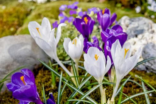 今日のかめら(*^^*)