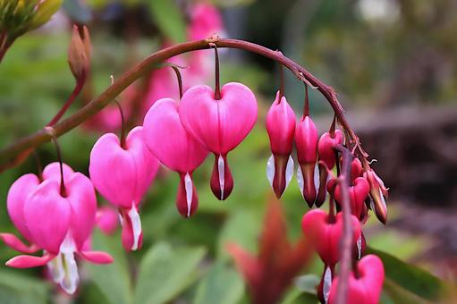 今日のかめら(*^^*)