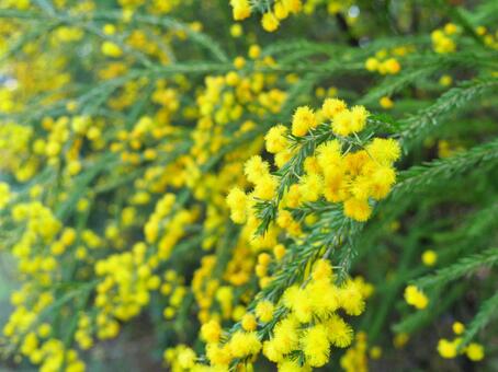 今日のかめら(^^♪