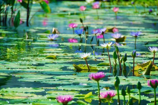 今日のかめら(*^^*)