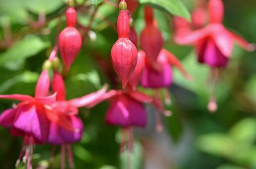 今日のかめら(*^^*)
