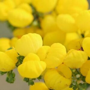 今日のかめら(*^^*)