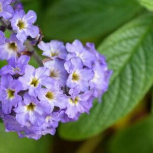 今日のかめら(*^^*)