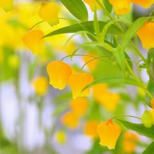 今日のかめら(*^^*)