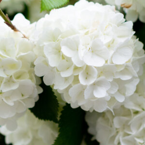 今日のかめら(*^^*)