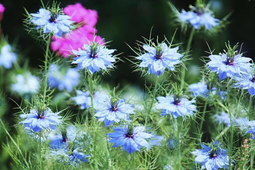 今日のかめら(*^^*)