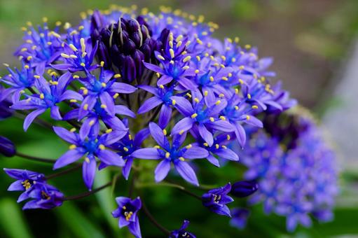 5月うまれの誕生会＼(^o^)／