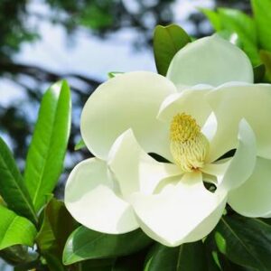 今日のかめら(*^^*)