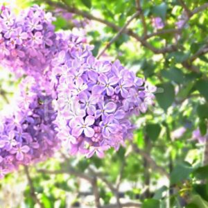 今日のかめら(*^^*)