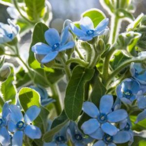 今日のかめら(*^^*)