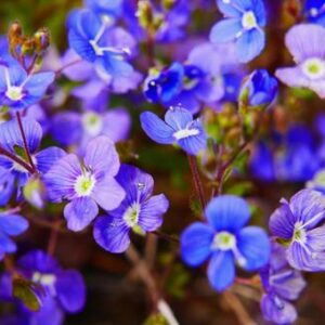 今日のかめら(*^^*)