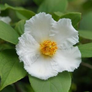 今日のかめら(*^^*)