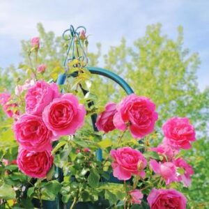 プール開き　＼(^o^)／