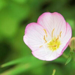 今日のかめら(*^^*)
